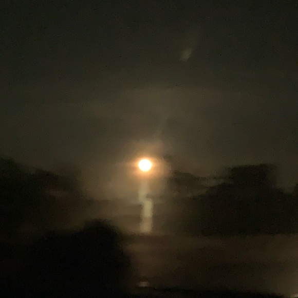 Meet your Posher, Liliana - Picture 1 of 1